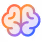brain-duotone